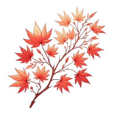 단풍