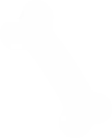 뼈다귀