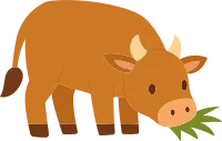 황소