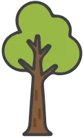 Illustration of Cartoon Tree with Brown Trunk