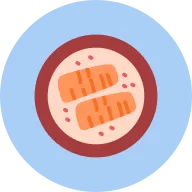 Salmon Icon