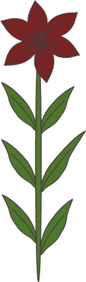 꽃