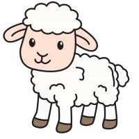 Cute Sheep Illustration