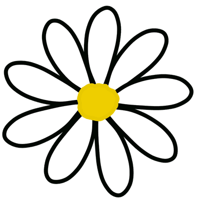 데이지꽃