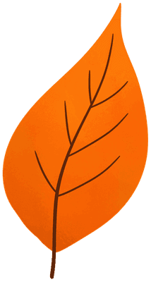 Hand drawn orange maple leaves for autumn decor