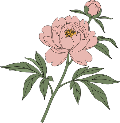 Peony Flower