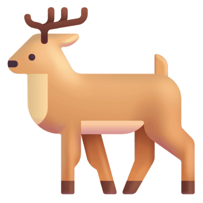 Reindeer 순록