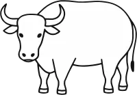 소