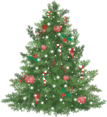 merry05