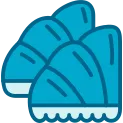 Maguro Icon