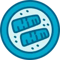 Salmon Icon
