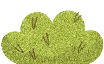 Lovely bush SK