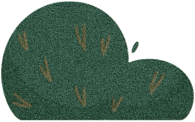 Lovely bush SK