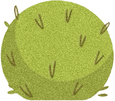 Lovely bush SK