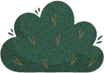 Lovely bush SK