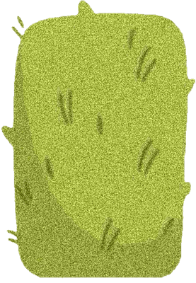 Lovely bush SK