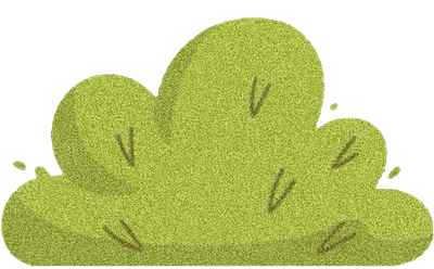 Lovely bush SK