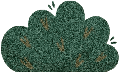 Lovely bush SK