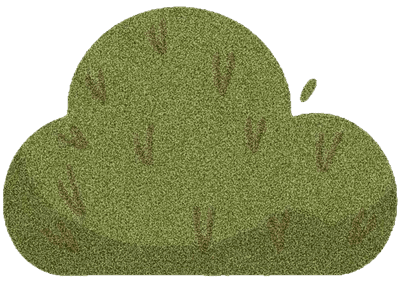 Lovely bush SK