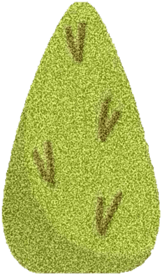 Lovely bush SK