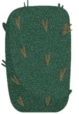 Lovely bush SK