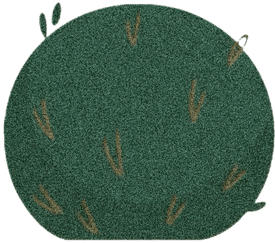 Lovely bush SK
