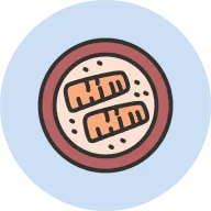 Salmon Icon