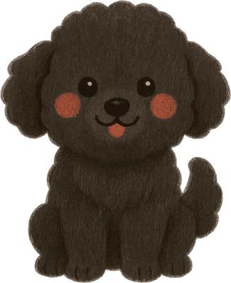 Poodle
