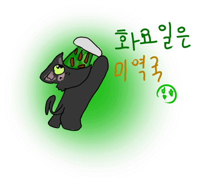 고양이 일주일 점심메뉴