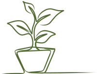 Minimal Potted Plant Line Illustration
