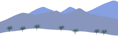 산과 나무