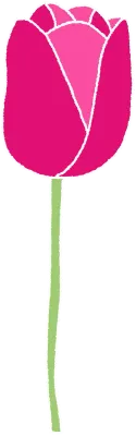 튤립