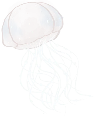 해파리