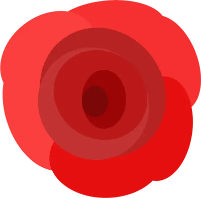 장미