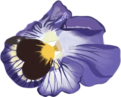 보라색 꽃