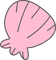 조개