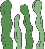 미역