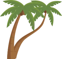 coconut palm tree. flat illustration