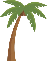 coconut palm tree. flat illustration