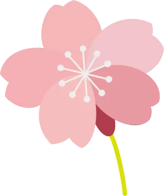 벚꽃