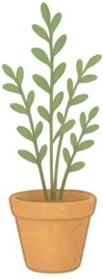 pot plants