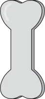 뼈 4