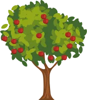 Apple Tree