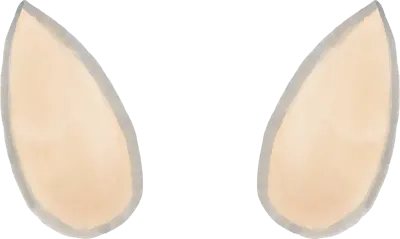 CA81-16