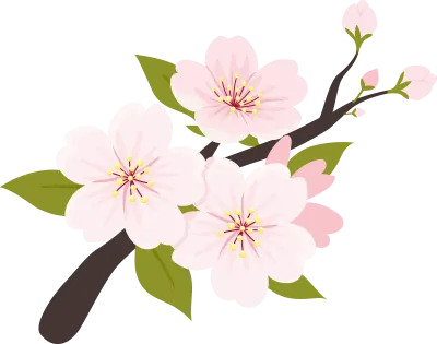 Pink Cherry Blossom Branch Illustration 