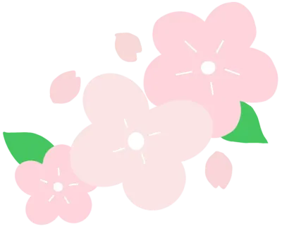 벚꽃잎