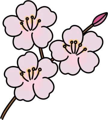 벚꽃