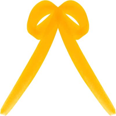 리본