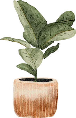 Minimal watercolor illustration of a green houseplant in a modern pot