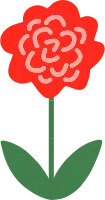 장미